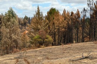 WhatsApp Image 2026-01-30 at 14.44.53b.jpeg